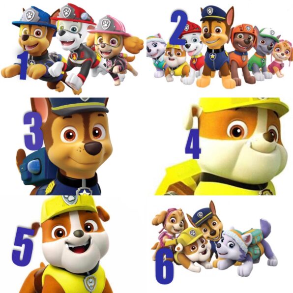 Paneli Paw patrol